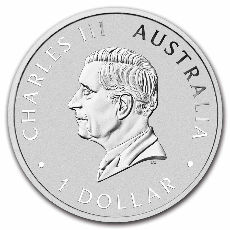 Pièce de 1 dollar australien représentant un cygne, en argent 999/1000 (1 oz), millésime 2024