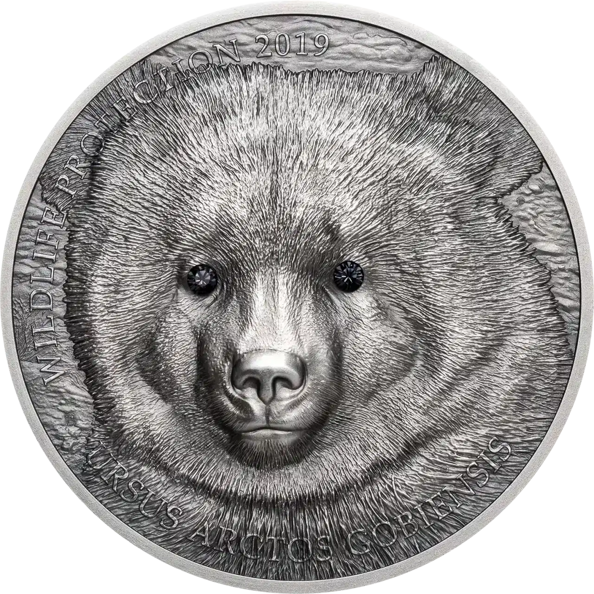 DERNIÈRE Pièce de monnaie Gobi Bear Argent 999 1oz 500T Mongolie 2019