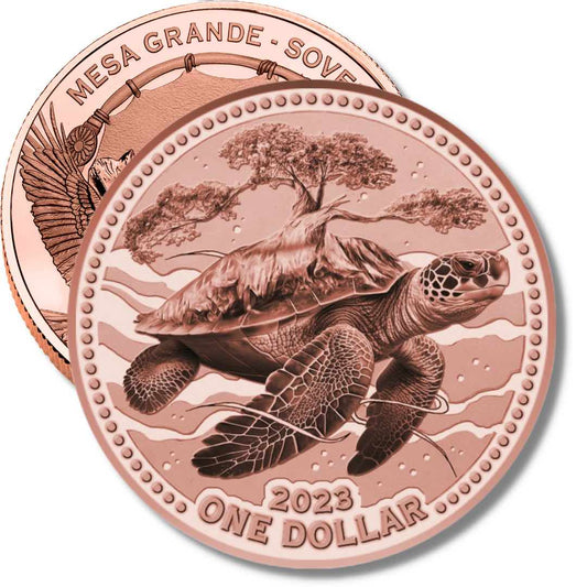 Pièce de 1 dollar à l'effigie d'une tortue du désert, énorme, Ø 65 mm, 155,55 g, Mesa Grande