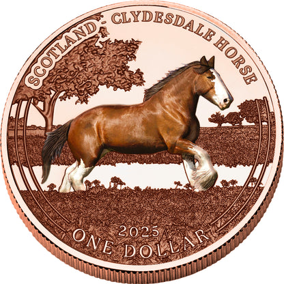 ÉNORME 1$ Le cheval Clydesdale sauvage en cuivre 999 Mesa Grande USA 2025
