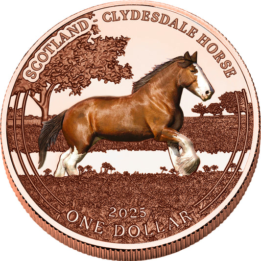 ÉNORME 1$ Le cheval Clydesdale sauvage en cuivre 999 Mesa Grande USA 2025
