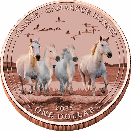 ÉNORME 1$ Le Cheval Sauvage de Camargue Cuivre 999 Mesa Grande USA 2025